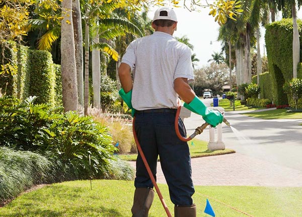 About Markesan WI Pest Control